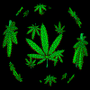 LutherSa